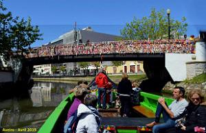 1427 - Aveiro